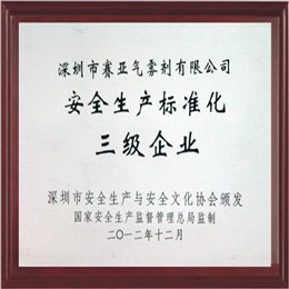 安全生产标准化企业