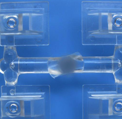 塑胶表面清洗剂 小图4